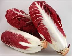 Radicchio Trevigiano