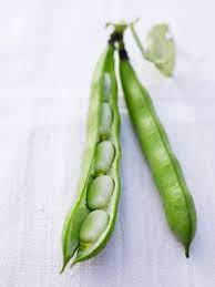 Fava