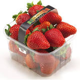 Fragole Cestino 250g