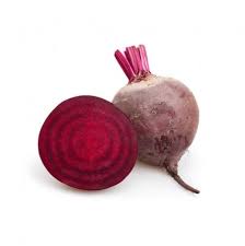 Rapa Rossa