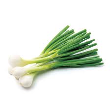 Cipollotto Bianco